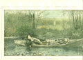 Original Old Antique Print American Hand Coloured
