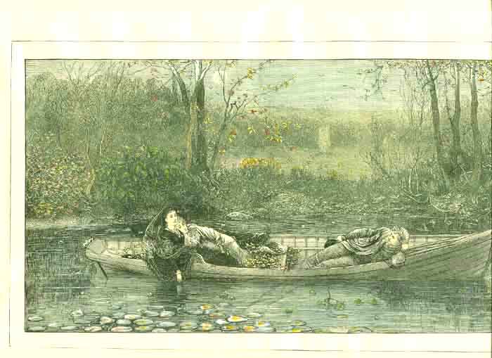 Original Old Antique Print American Hand Coloured