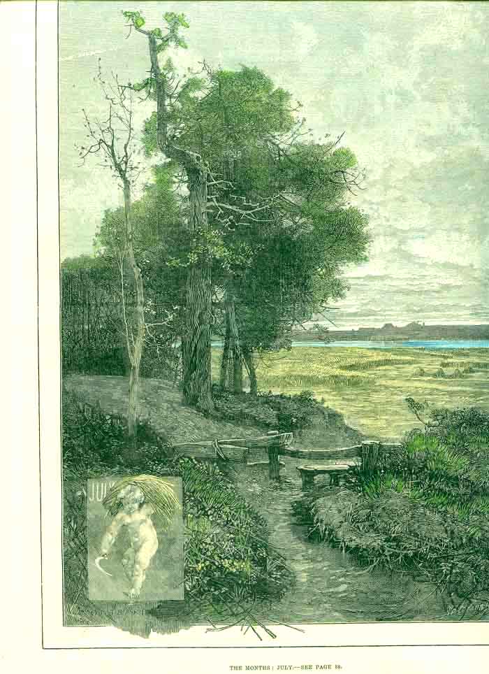 Original Old Antique Print Ref.319 Hand Coloured 0