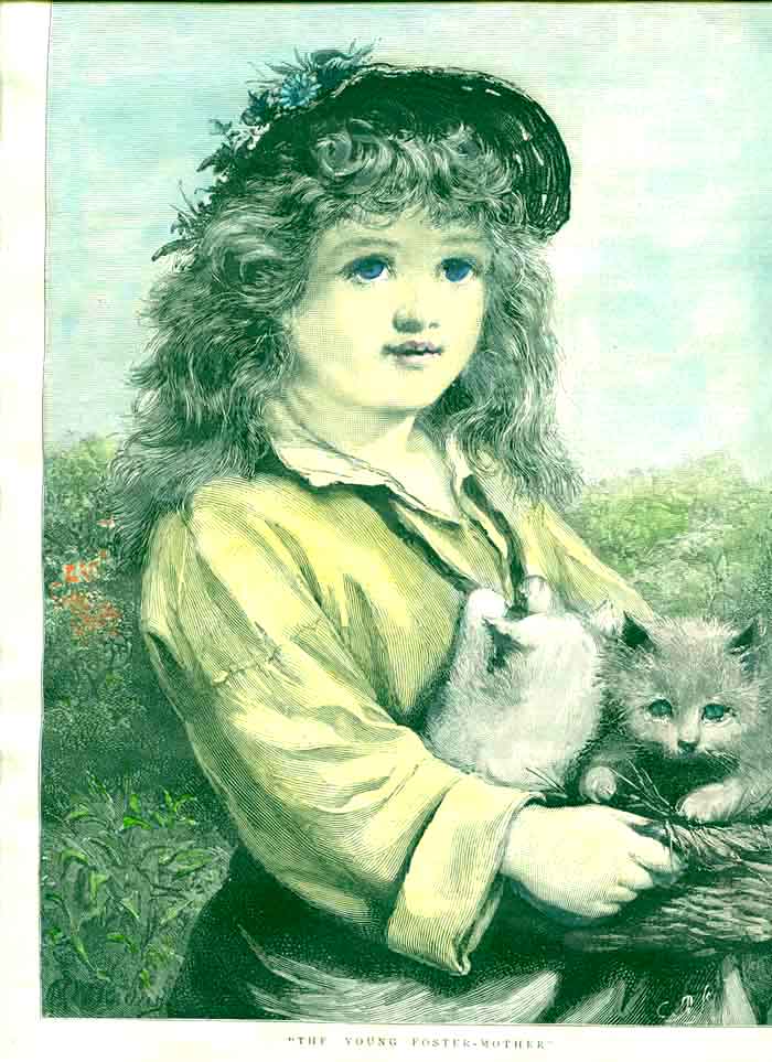 Original Old Antique Print Kittens Hand Coloured