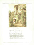 Original Old Antique Print Garden