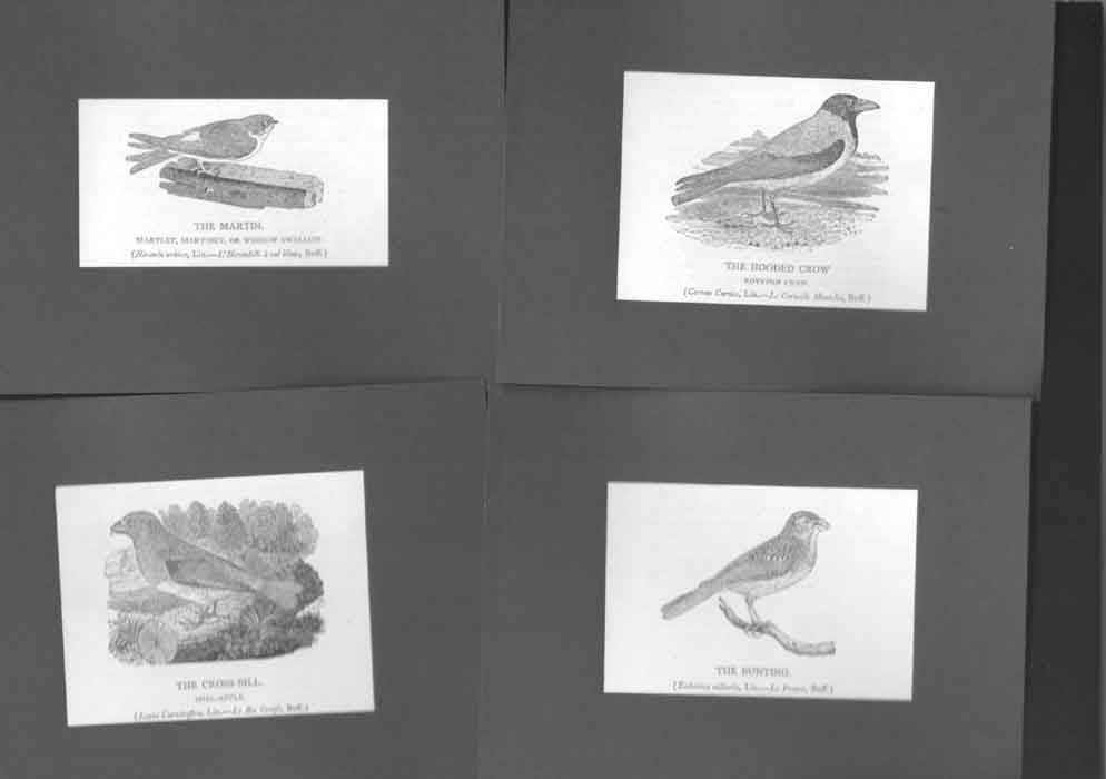 Original Old Antique Print Mounted Card 0