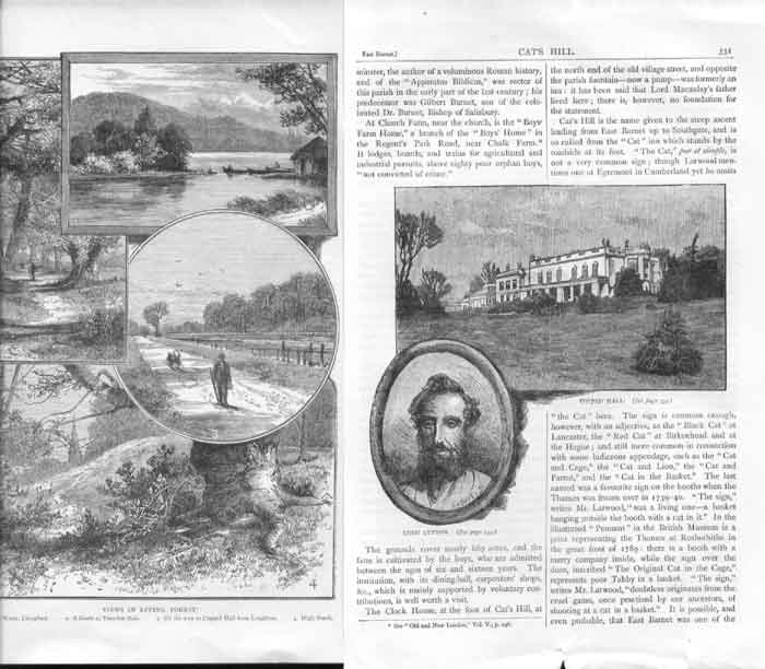 Original Old Antique Print 10 Engraving Greater London C1890 *9 0