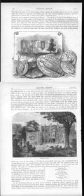 Original Old Antique Print 10 Engraving Greater London *1 0