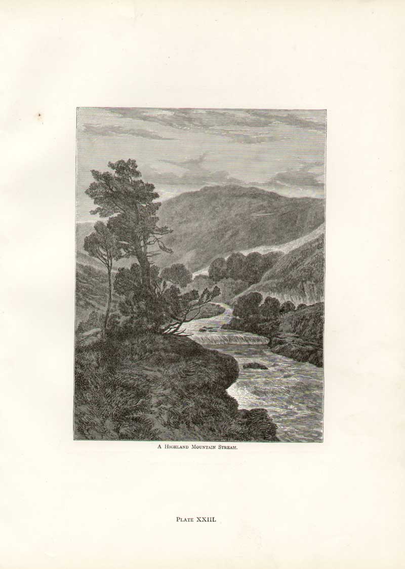 Original Old Antique Print Landseer 23.. Highland Stream Scotland