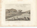 Original Old Antique Print Laggan Stone Pl2 Antiquities Scotland 1790