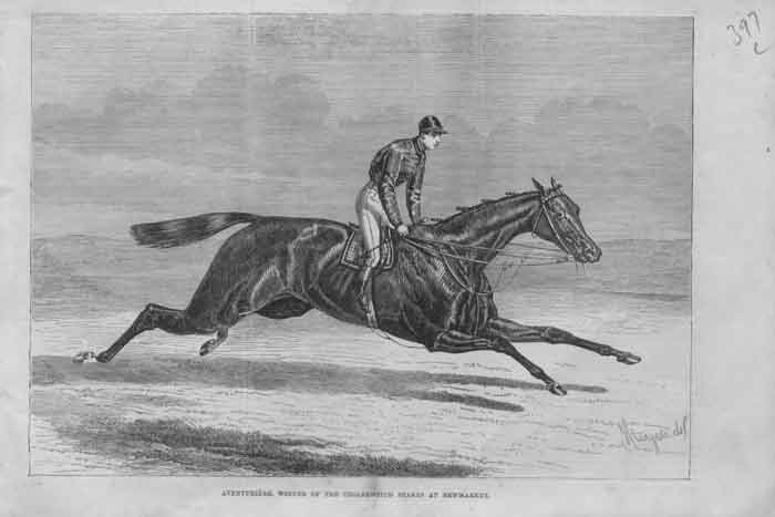 Original Old Antique Print Aventuriere Winner Cesarewitch Newmarket 1874 A 19th