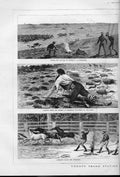 Antique Old Print 20 Years Station Life New South Wales Australia 1883 Pr