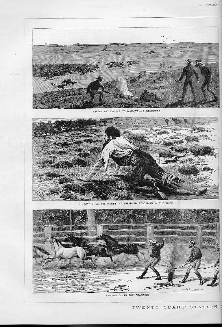 Antique Old Print 20 Years Station Life New South Wales Australia 1883 Pr