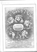 Original Old Antique Print Advert Lever Bros Plantol SoapYoung Beauties 1903