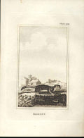 Original Old Antique Print Roselet 1812 Buffon Natural History Plate 099 19th