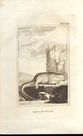 Original Old Antique Print Least Ant Eater 1812 Buffon Natural History 196 19th