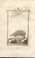 Original Old Antique Print Coendou 1812 Buffon Natural History 285 19th Century