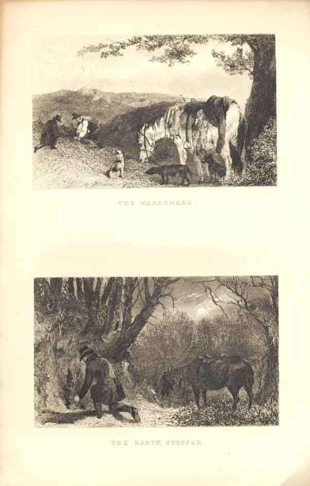 Original Old Antique Print The Wareners And The Stoppers C1880 Engravings 19th
