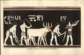 Original Old Antique Print Ploughing Sowing Egypt During Pyramid Age Fine Art