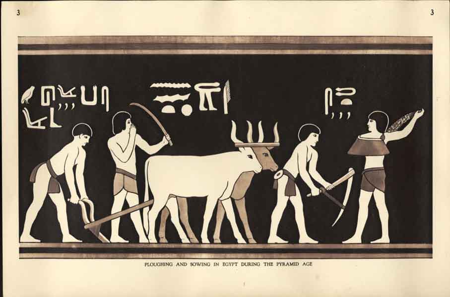 Original Old Antique Print Ploughing Sowing Egypt During Pyramid Age Fine Art