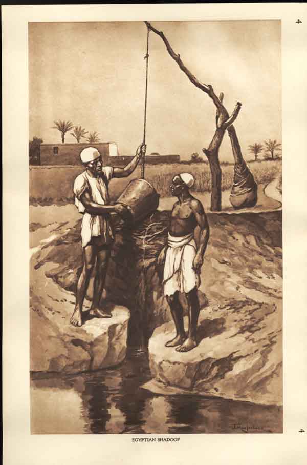 Original Old Antique Print ShadoEgypt Drawing By J Mcfarlane