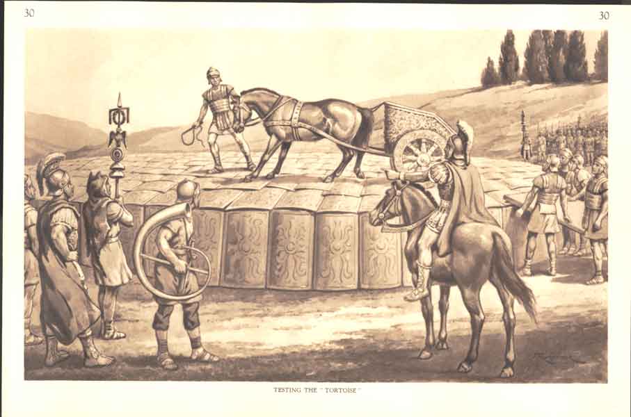 Original Old Antique Print Testing Tortoise Fine Art Drawing By J Mcfarlane