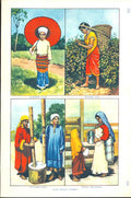 Original Old Vintage Print Burmese Lady Nepali Milk Maid Indian Women C1930