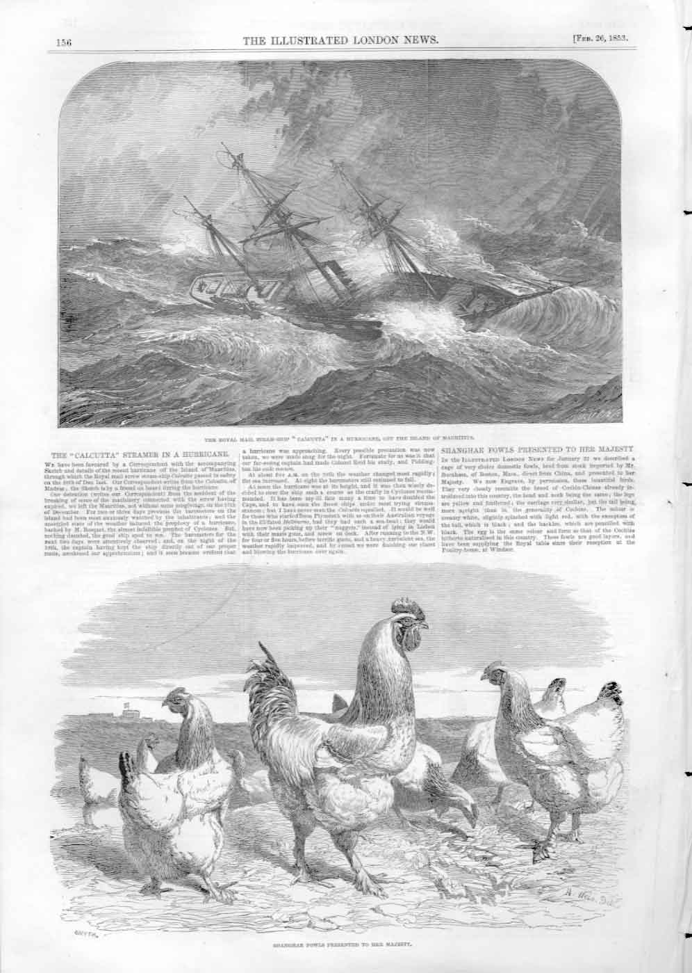 Old Antique Print Royal Mail Ship Calcutta In Storm & Shangai Fowls 1853 19th