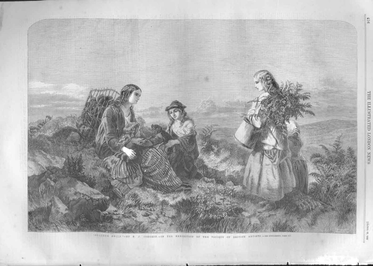 Original Old Antique Print Heather Bells By Cobbett Fine Art 1859 A Victorian
