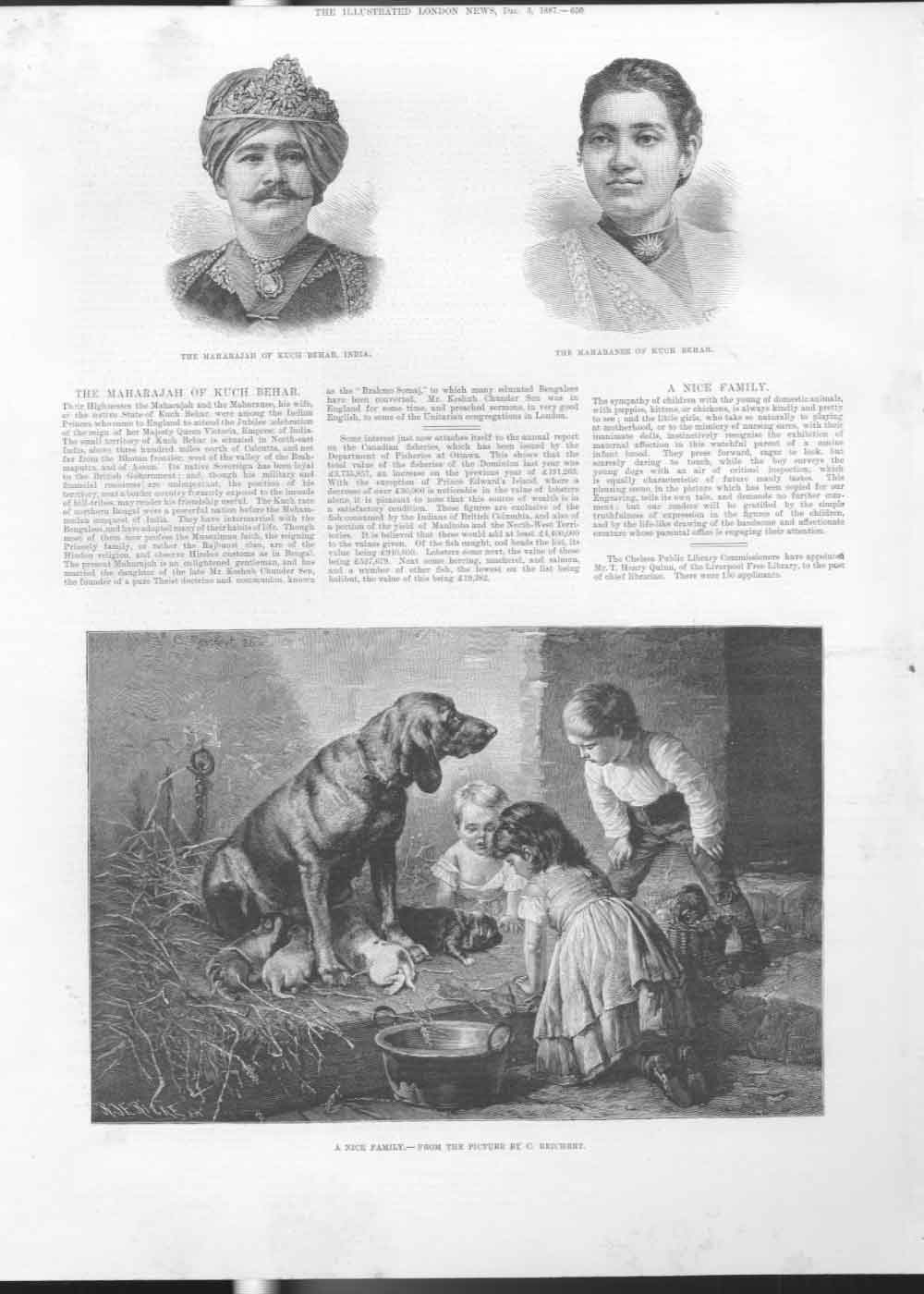 Original Old Antique Print Dog & Puppies Fine Art By Reichert 1887 Victorian