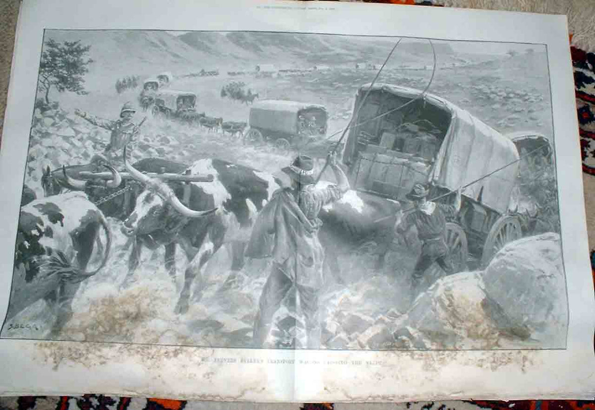 Old Antique Print Bullers Transport 155Twagons Cross Veldt 1900 Boer War