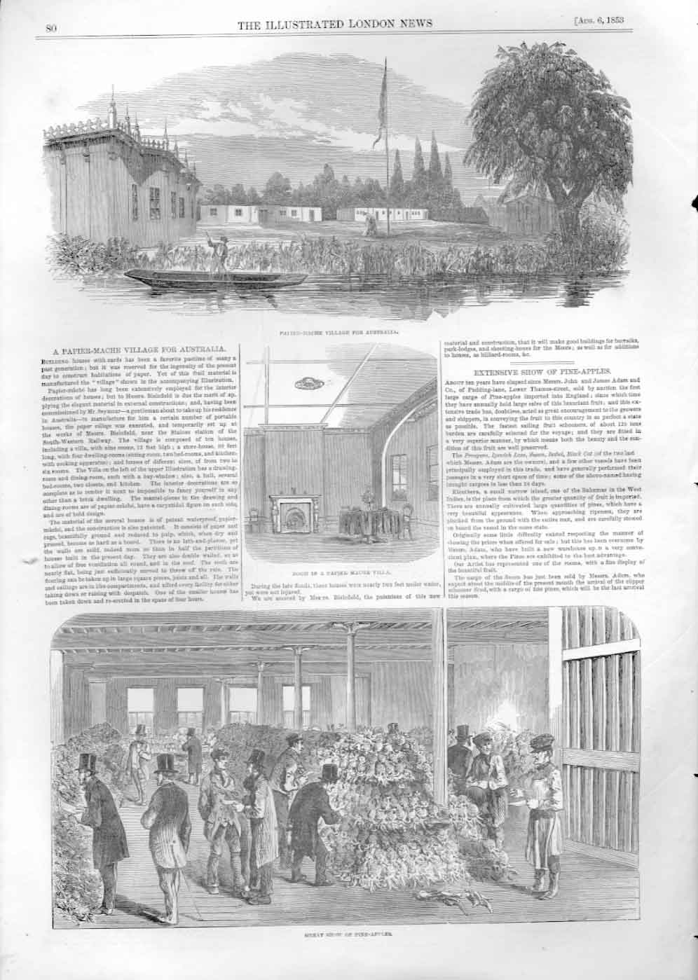 Original Old Antique Print Papier Mache Village For Australia Show Pine Apples