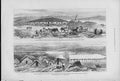 Original Old Antique Print Islands On The Danube Bulgaria 1877 19th