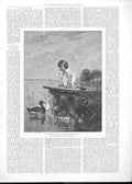 Original Old Antique Print Young Ducks By Beyschlag Art 1888 19th