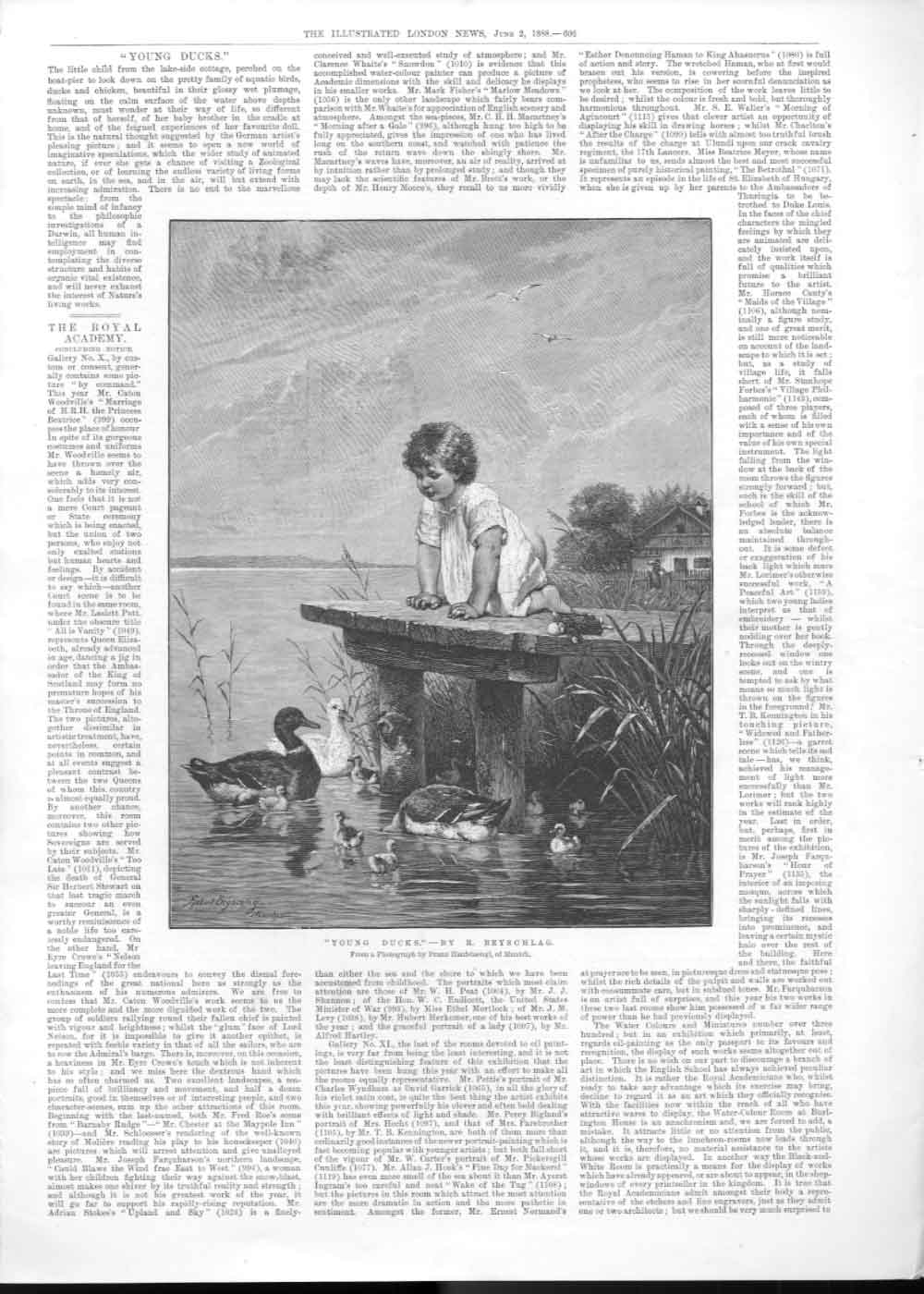 Original Old Antique Print Young Ducks By Beyschlag Art 1888 19th
