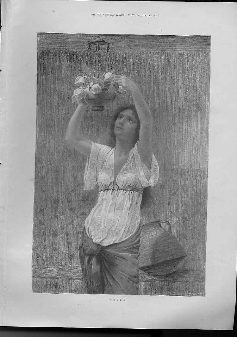 Original Old Antique Print Roses Fine Art1900 20th Century