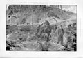 Original Old Antique Print Sequel To Deer Drive Scotland 1902 20th Century