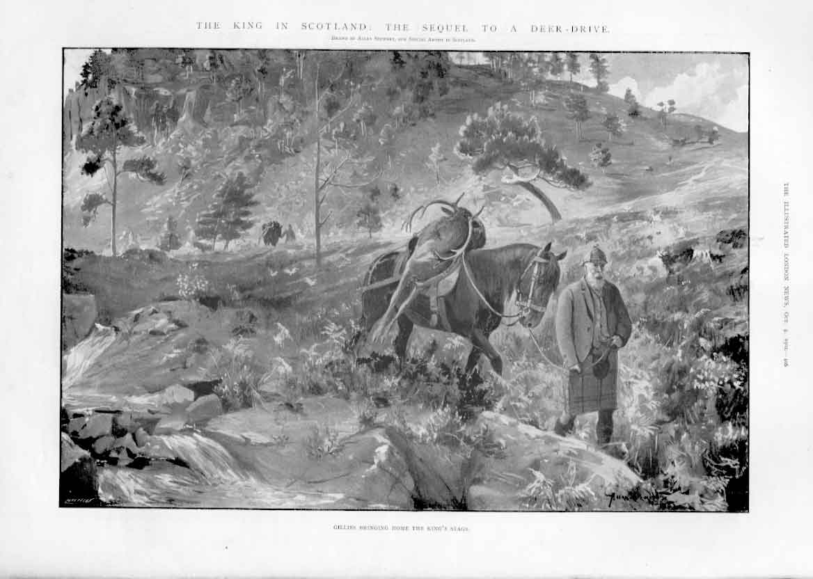 Original Old Antique Print Sequel To Deer Drive Scotland 1902 20th Century
