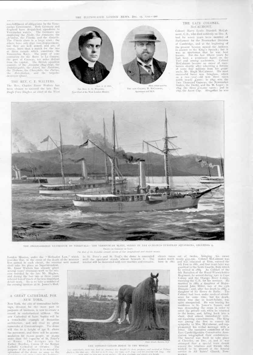 Old Antique Print Venezuelan Ships Seized & Longest Tailed Horse In Wor
