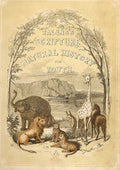 Original Old Antique Print Scripture Animals 1860 Coloured Engraving Sepia Style