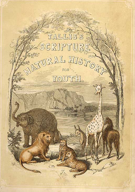 Original Old Antique Print Scripture Animals 1860 Coloured Engraving Sepia Style