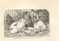 Original Old Antique Print Common Mouse 1862 Wood'S Natural History Engraving