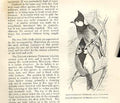 Old Antique Print Rufous Bellied Titmouse Yellow Cheeked Titmouse Birds