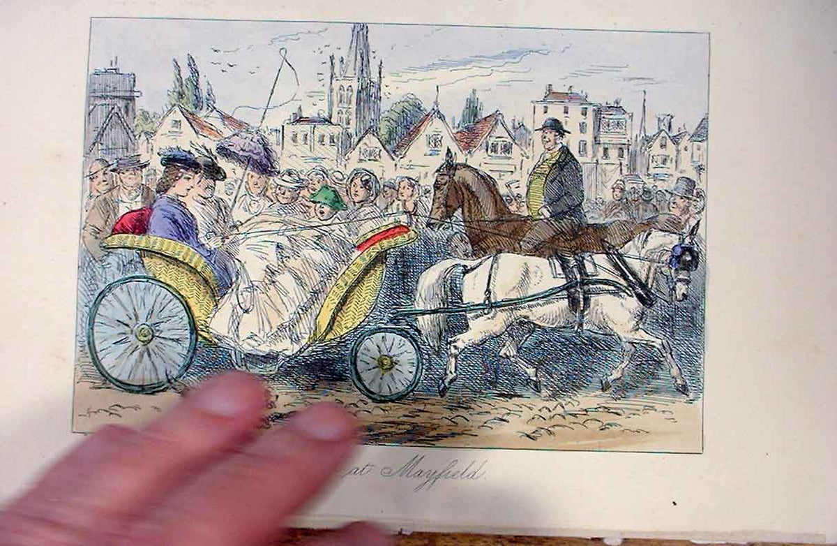 Original Old Antique Print Rosa At Mayfield 1858 Leech H/C S Victoria Victorian