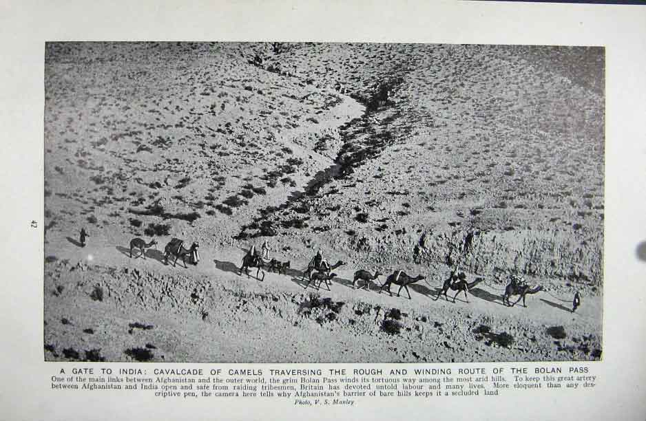 Original Old Vintage Print Camels Traverse Bolan Pass 1922 Photo Afghanstan