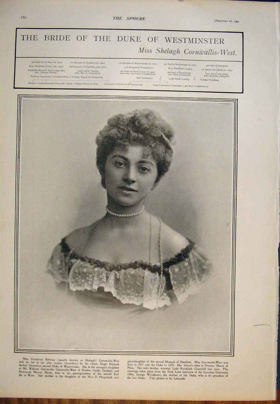 Original Old Antique Print Boer War General Botha Africa Veldt 1901 Victorian