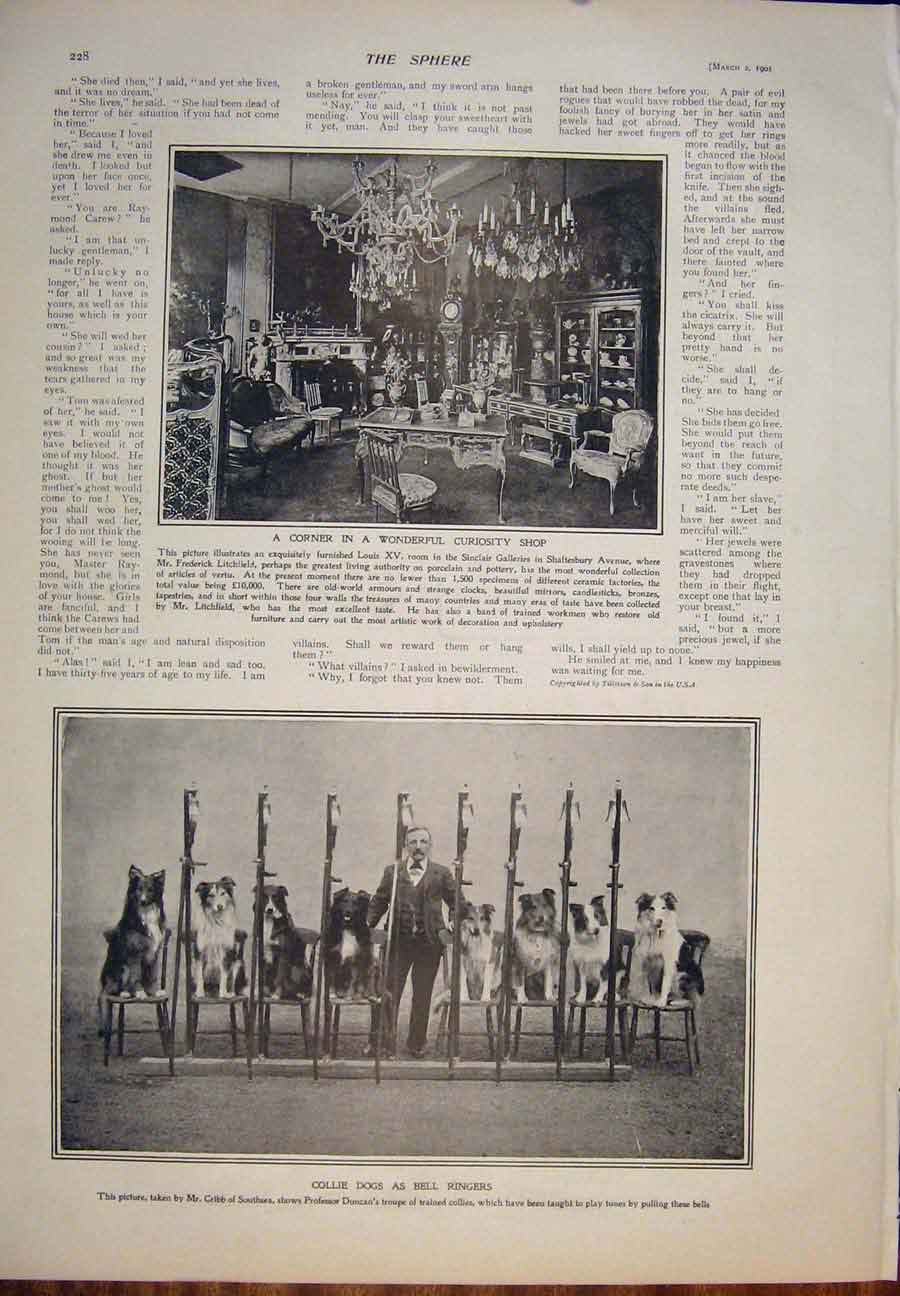 Original Old Antique Print Irish Party House Commons Redmond 1901 20th