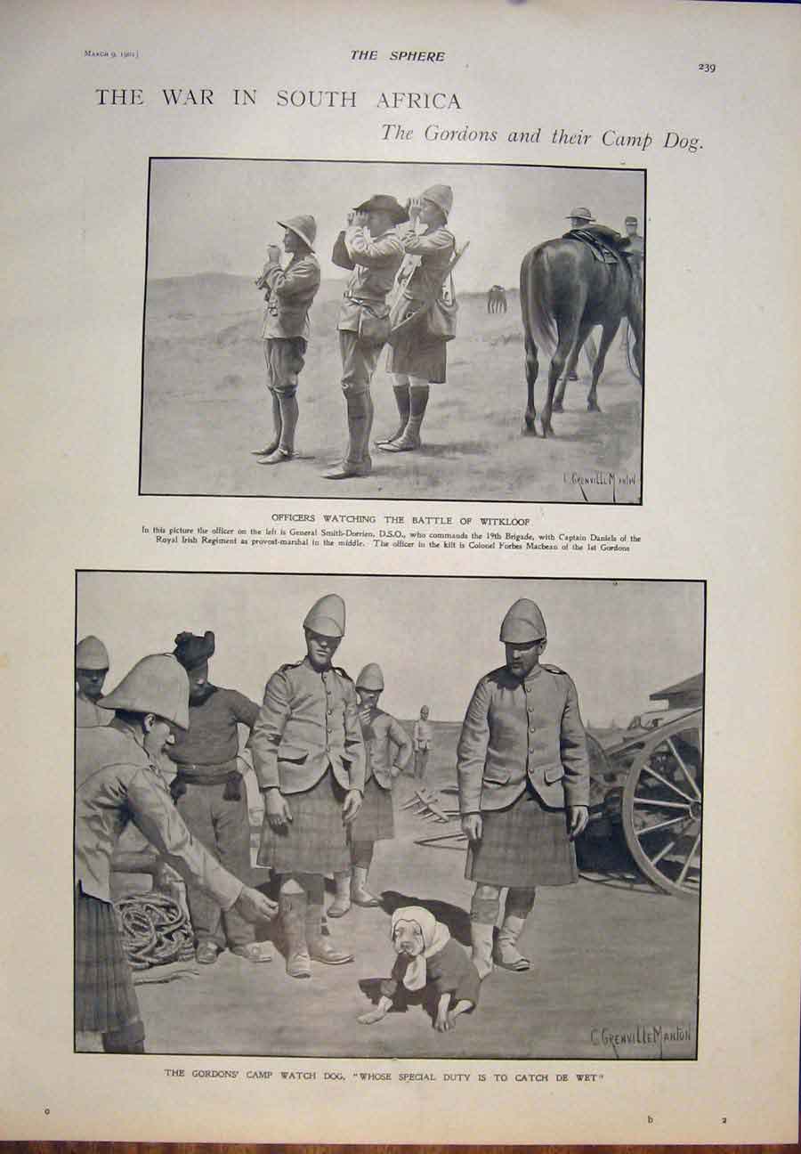 Original Old Antique Print House Lords Viscount Wolseley 1901 20th