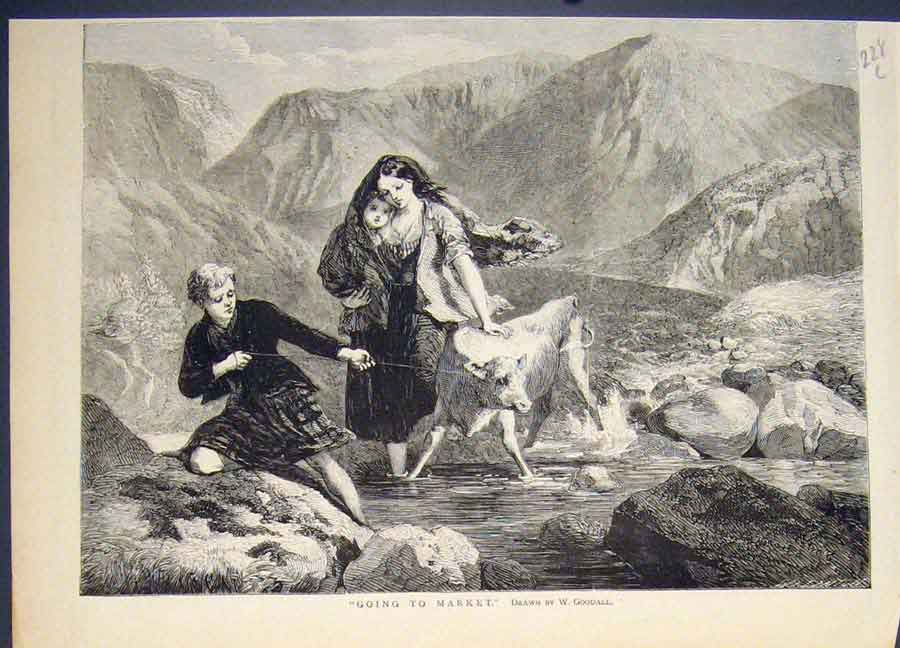 Original Old Antique Print Going To Market Goodall Cow Calf River Fine Art 1874
