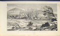 Original Old Antique Print Massachusetts America River Floods 1874 Victorian