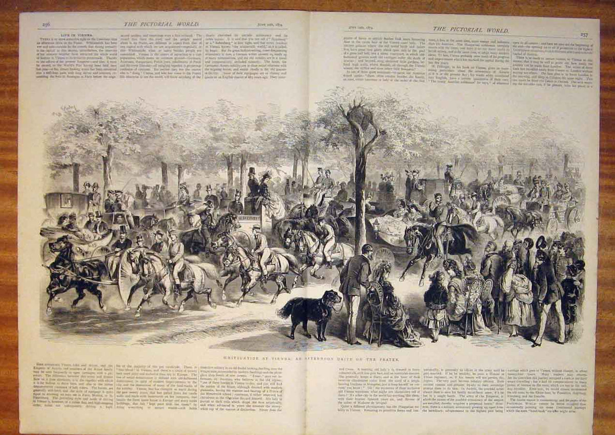 Original Old Antique Print Whitsuntide Vienna Prater 1874 19th