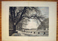 Original Old Antique Print Switzerland Winter Promenade Interlachen 1874 19th