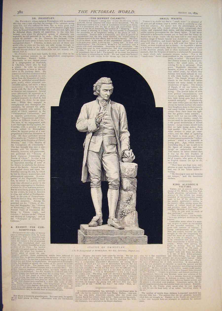 Original Old Antique Print Statue Priestley Birmingham 1874 19th