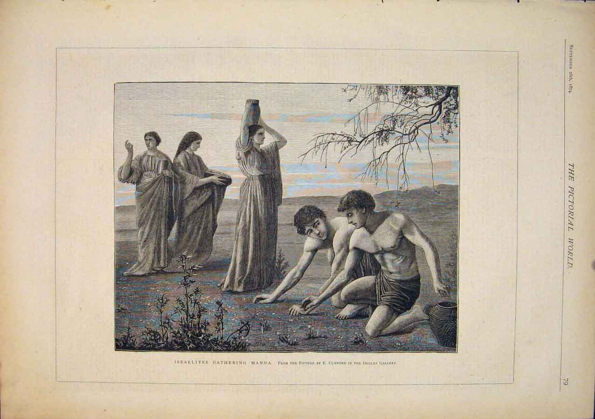 Original Old Antique Print Israelites Gathering Manna Clifford Fine Art 1874